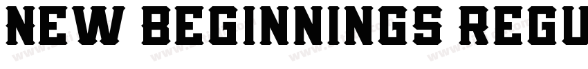 New Beginnings Regul字体转换